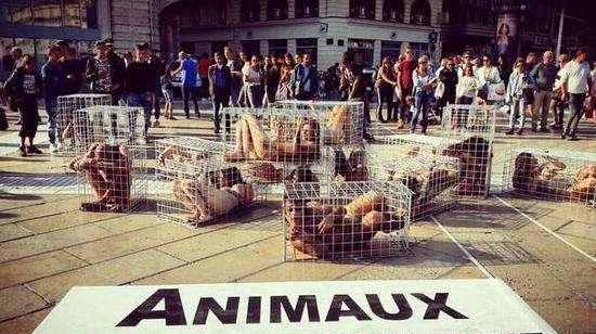 历史阴影 19世纪美国对清朝女性的商品化与展览