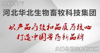 华北生物 聚焦生物技术开发，守护健康——病毒性疾病的防治原则与前沿实践