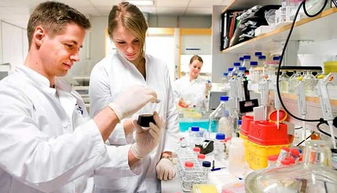 生物技术开发 光环背后的现实挑战与未来之路