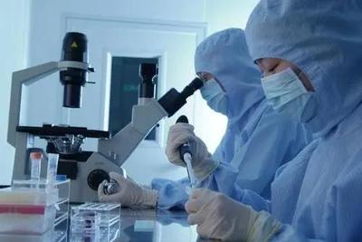 李逵还是李鬼？相似专业名称辨析 生物技术与生物技术开发，2021年考生必读